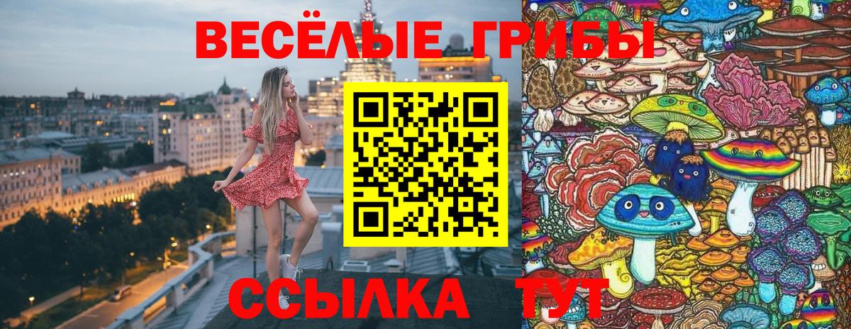 Галлюциногенные грибы Psilocybine cubensis  Вход с VPN  Азов 